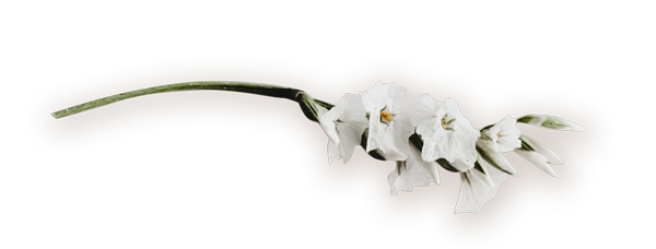 flor-comunion
